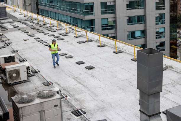 Best Roof Moss and Algae Removal  in Robinson, IL